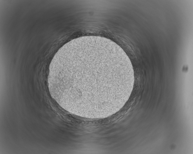 X0000116810817201001151142