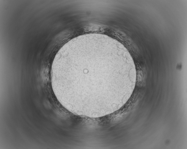 X0000116810820201001151142