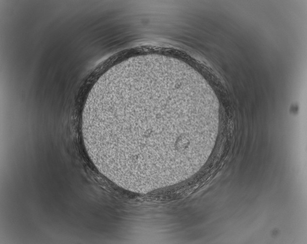 X0000116810822201001151142