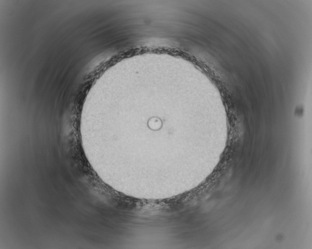 X0000116810824201001151142