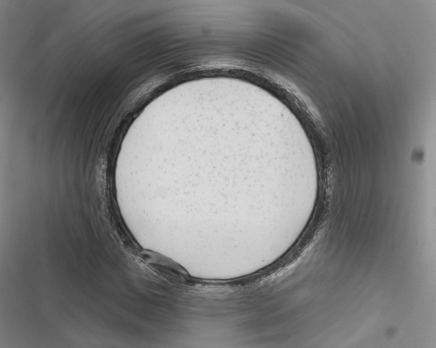 X0000116810825201001151142