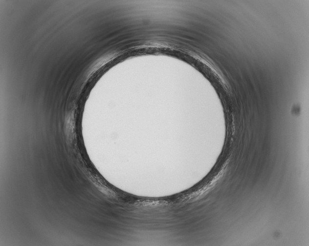 X0000116810826201001151142