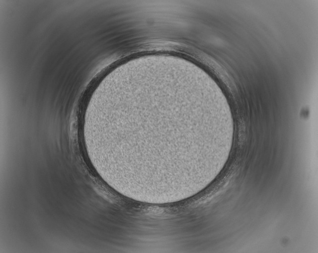 X0000116810827201001151142