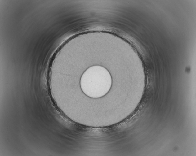 X0000116810828201001151142