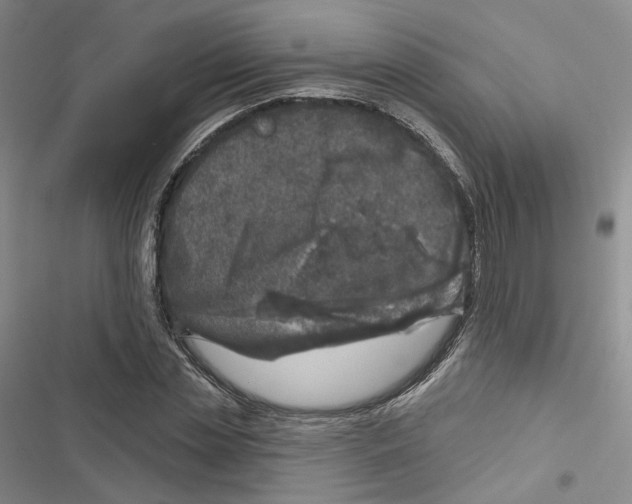 X0000116810829201001151142