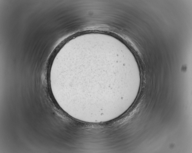 X0000116810830201001151142