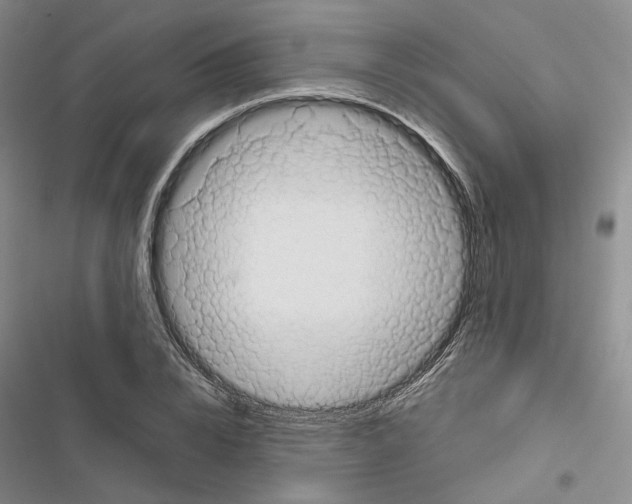 X0000116810832201001151142