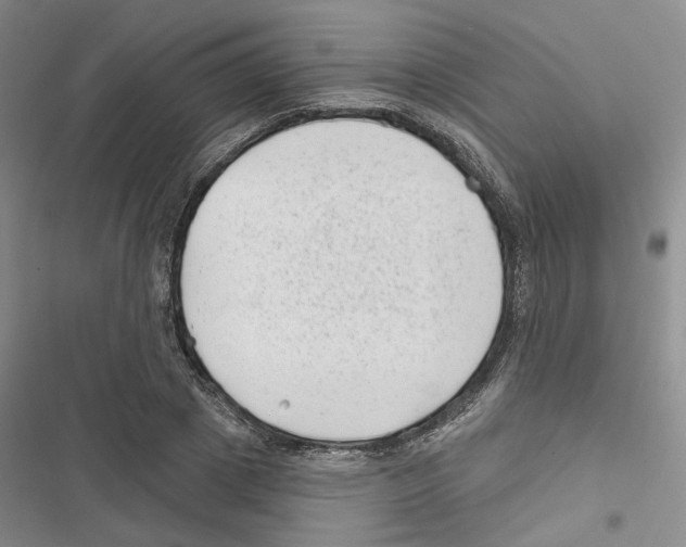 X0000116810833201001151142