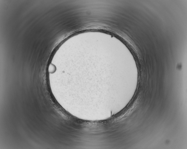 X0000116810834201001151142