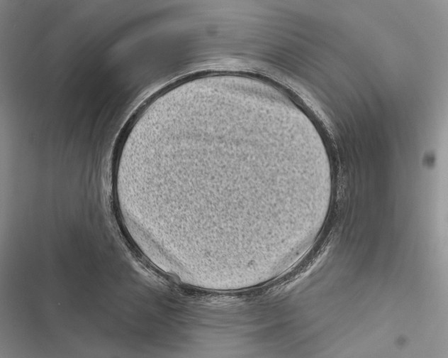 X0000116810837201001151142