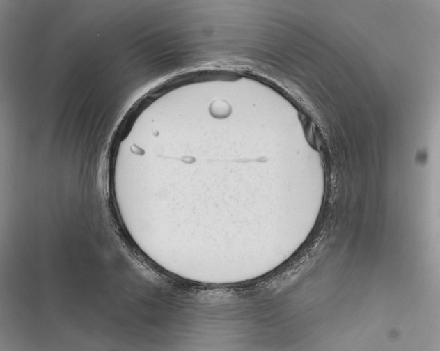 X0000116810838201001151142