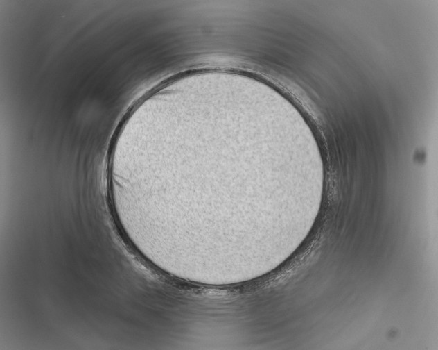 X0000116810839201001151142