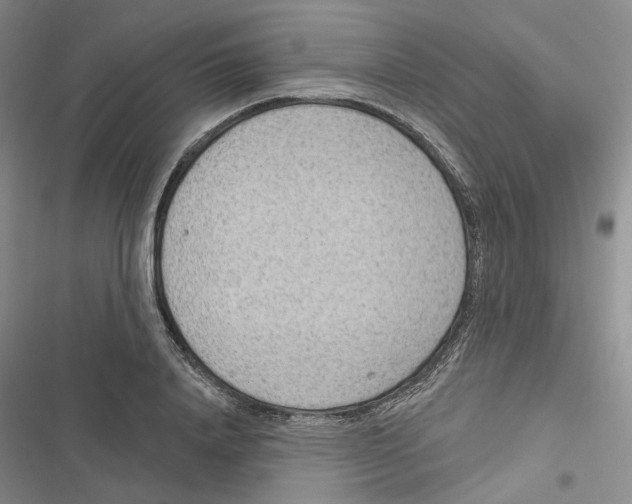 X0000116810840201001151142