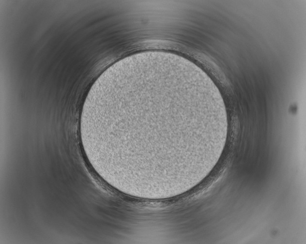 X0000116810841201001151142