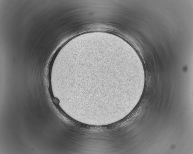 X0000116810843201001151142