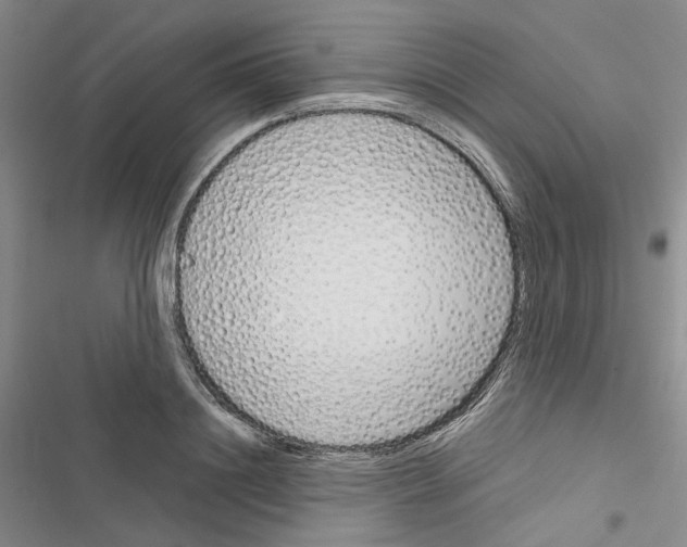 X0000116810844201001151142