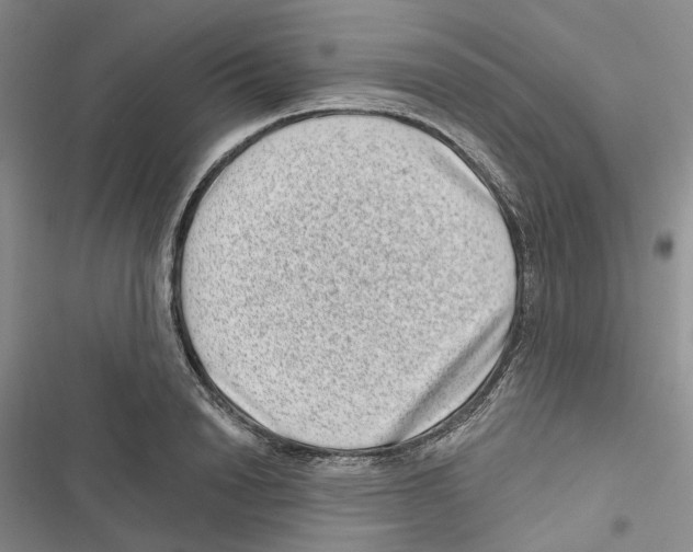 X0000116810846201001151142