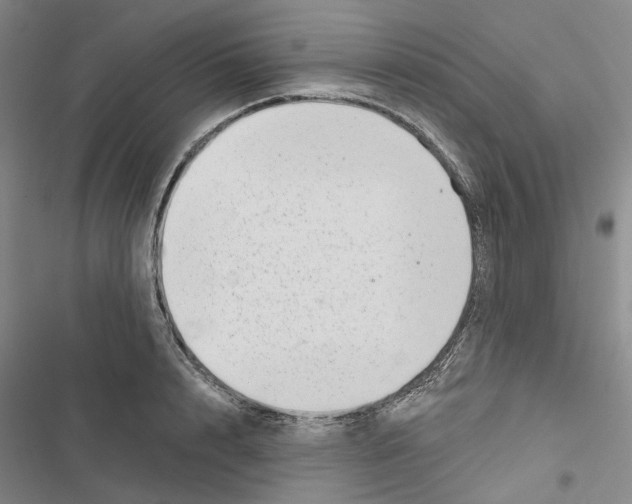 X0000116810848201001151142