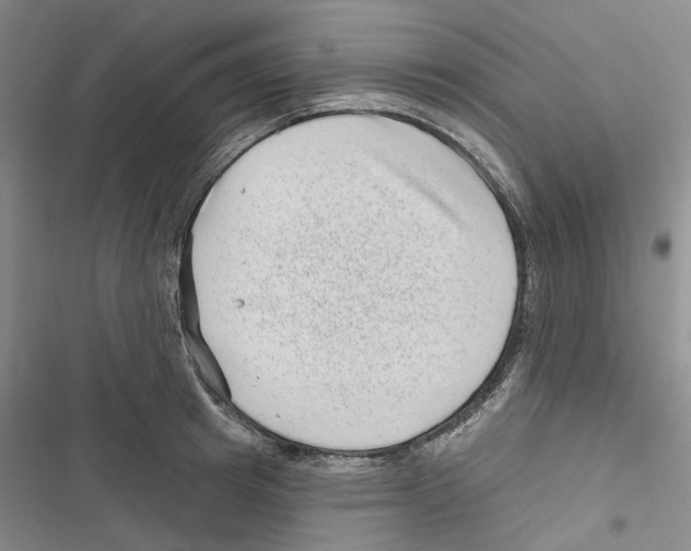 X0000116810849201001151142