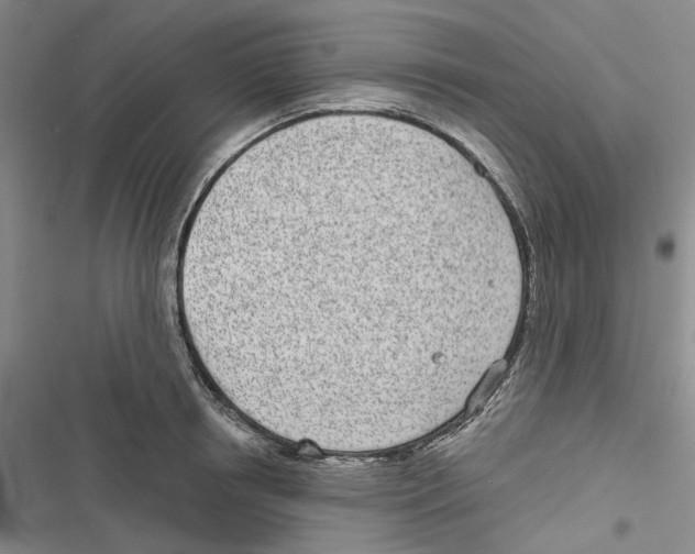 X0000116810850201001151142