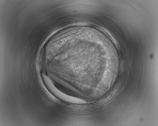 X0000116810851201001151142