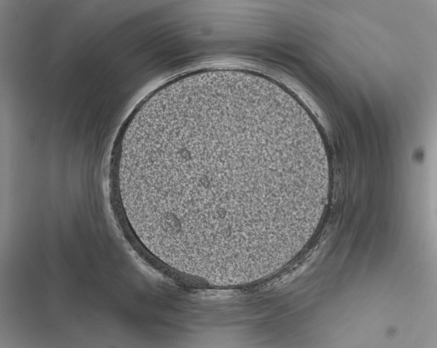 X0000116810853201001151142