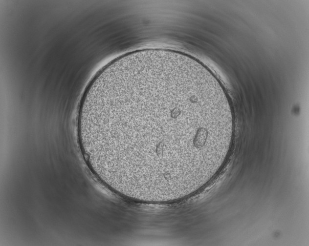 X0000116810854201001151142