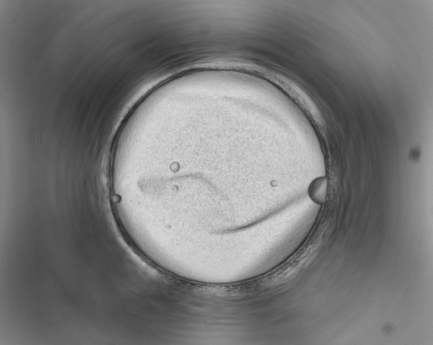 X0000116810855201001151142