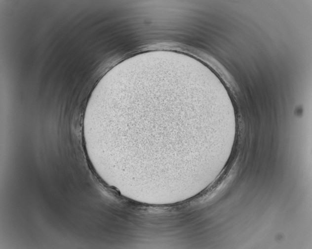 X0000116810857201001151142