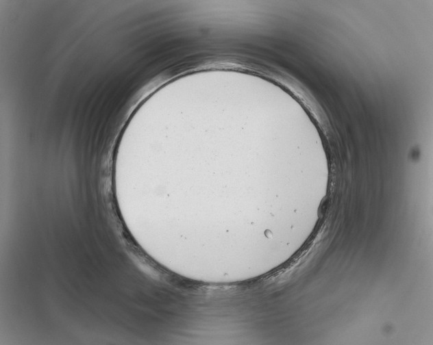 X0000116810858201001151142