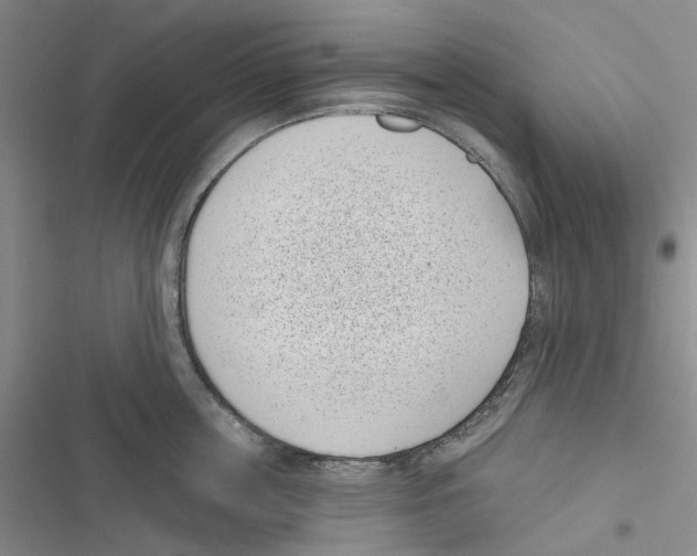 X0000116810859201001151142