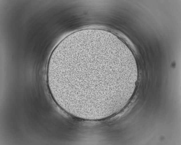 X0000116810860201001151142