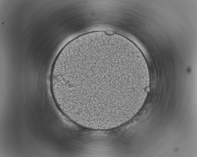 X0000116810861201001151142