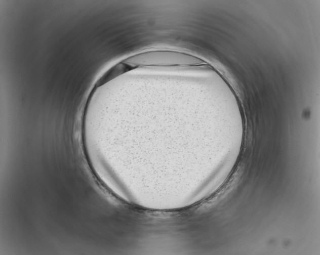 X0000116810862201001151142