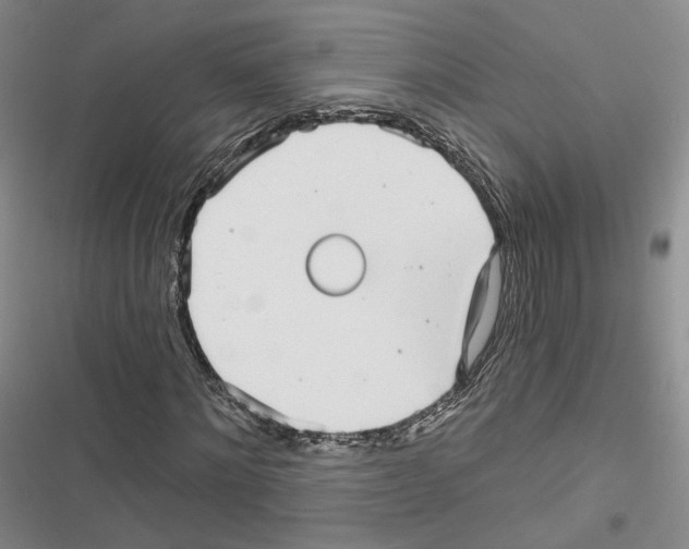 X0000116810868201001151142