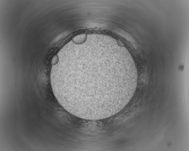 X0000116810869201001151142