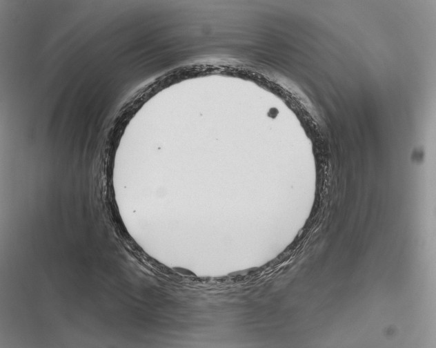 X0000116810872201001151141