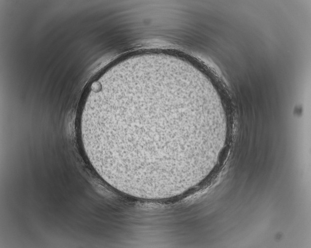 X0000116810873201001151141