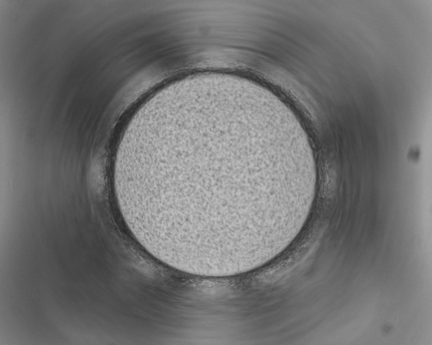 X0000116810874201001151141