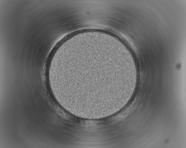 X0000116810875201001151141