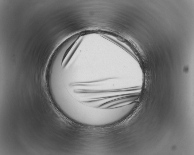 X0000116810876201001151141