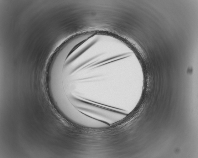 X0000116810878201001151141
