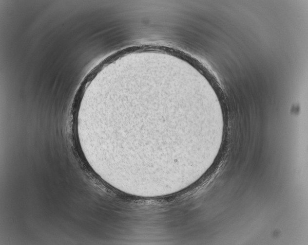 X0000116810879201001151141