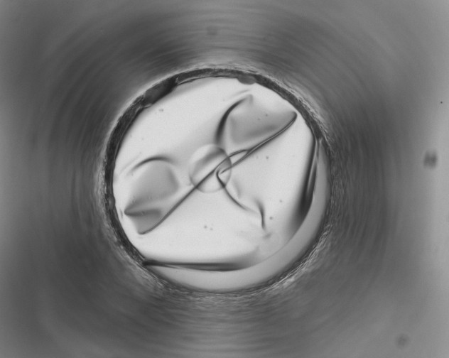 X0000116810880201001151141