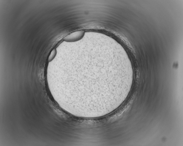 X0000116810881201001151141