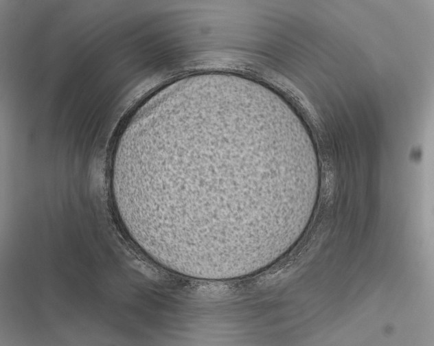 X0000116810882201001151141