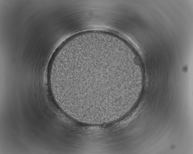 X0000116810883201001151141