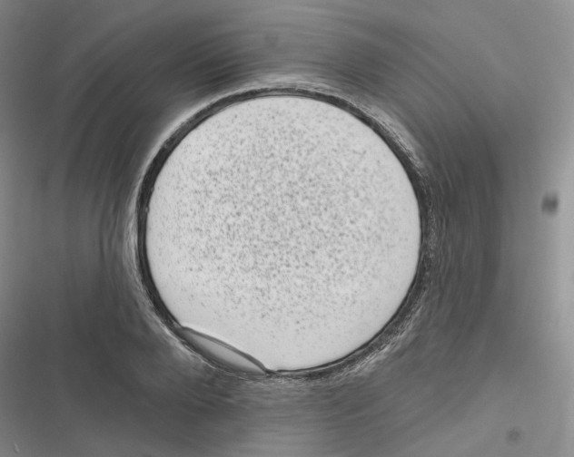 X0000116810888201001151141