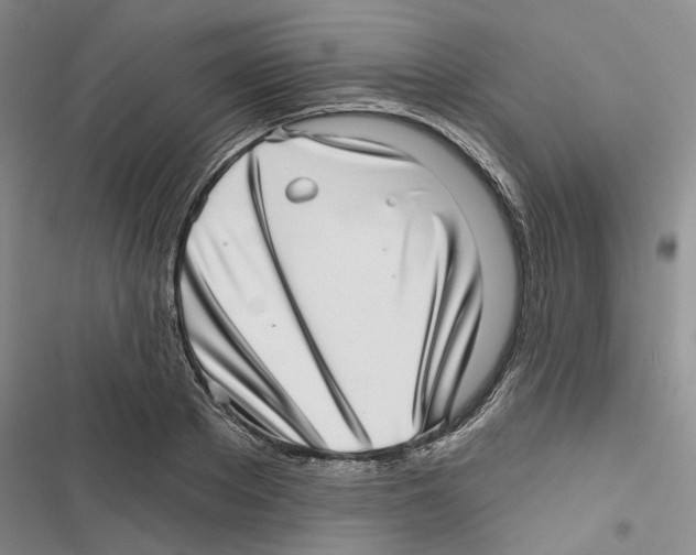 X0000116810889201001151141