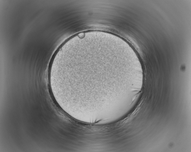 X0000116810891201001151141